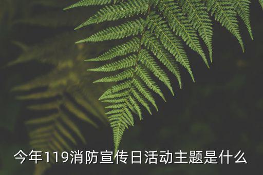 今年119消防宣傳日活動主題是什么