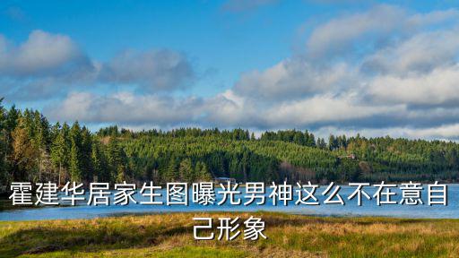 霍建華圖片，林心如丈夫霍建華圖片