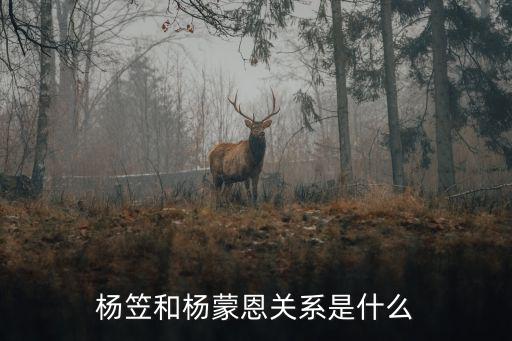 楊笠和楊蒙恩關系是什么