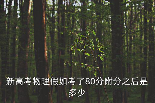 附分，新高考物理假如考了80分附分之后是多少