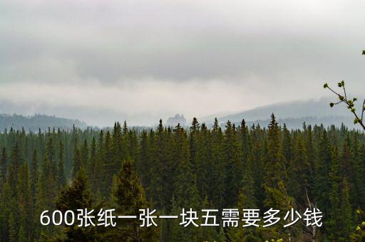 600張紙一張一塊五需要多少錢