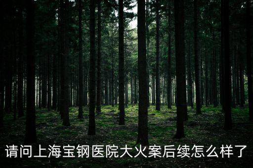 寶鋼事故，請問上海寶鋼醫院大火案后續怎么樣了