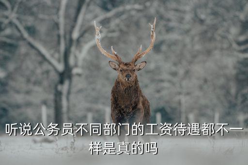 聽說公務員不同部門的工資待遇都不一樣是真的嗎