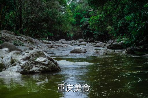 重慶美食