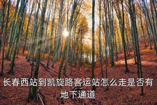 長春西站到凱旋路客運站怎么走是否有地下通道