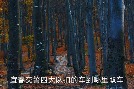 交警四大隊，南寧交警四大隊是屬于哪個區(qū)管的