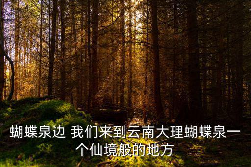 蝴蝶泉邊 我們來到云南大理蝴蝶泉一個仙境般的地方