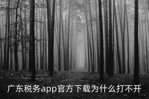 廣東稅務app官方下載為什么打不開