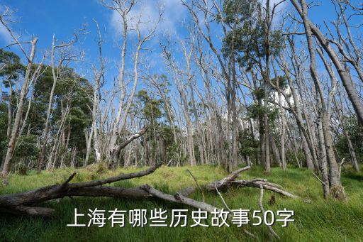 上海有哪些歷史故事50字