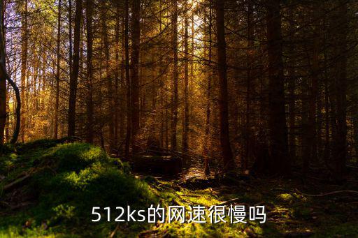 512ks的網(wǎng)速很慢嗎