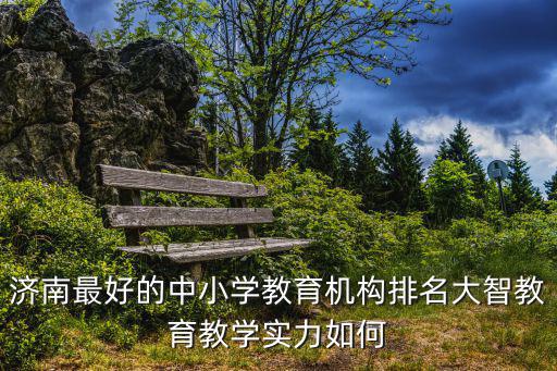 濟南教育，濟南最好的中小學教育機構排名大智教育教學實力如何