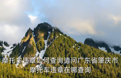 摩托車違章如何查詢請問廣東省肇慶市摩托車違章在哪查詢