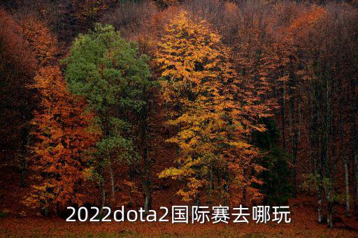 2022dota2國際賽去哪玩