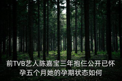 陳嘉寶，陳嘉寶男孩名字好嗎