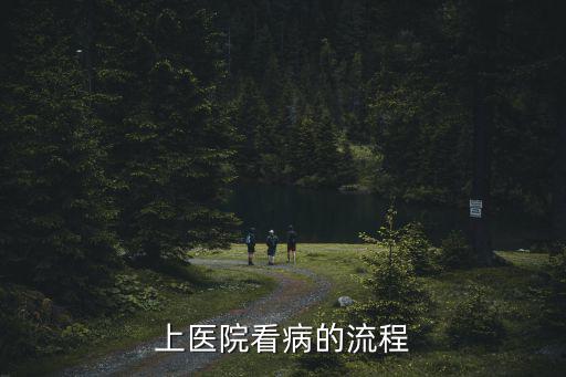 去醫(yī)院掛號(hào)的流程，上醫(yī)院看病的流程