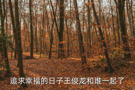 追求幸福的日子王俊龍和誰一起了