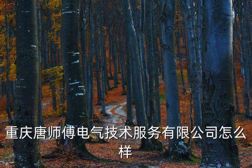 重慶唐師傅電氣技術服務有限公司怎么樣