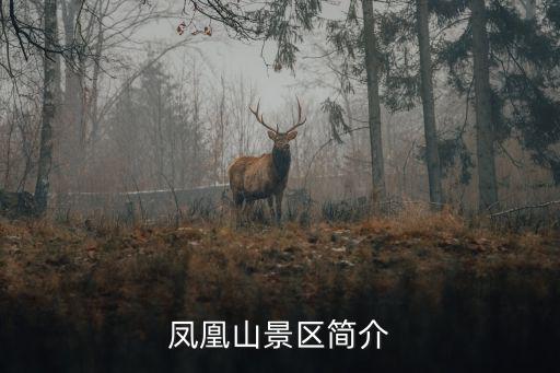 鳳凰山風景區，鳳凰山 簡介