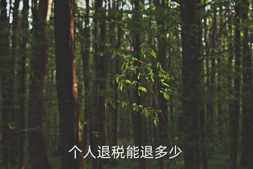 個人退稅能退多少