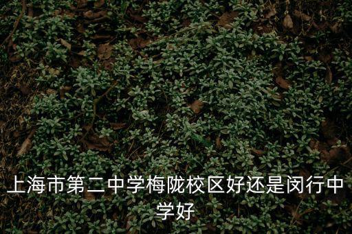 上海市第二中學(xué)梅隴校區(qū)好還是閔行中學(xué)好