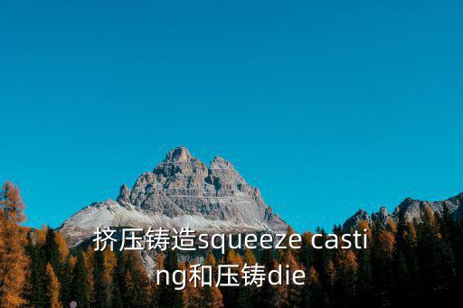 擠壓鑄造squeeze casting和壓鑄die