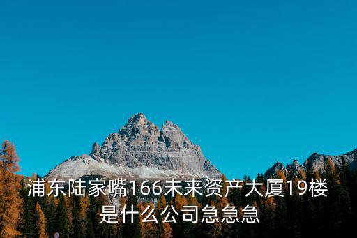 浦東陸家嘴166未來資產(chǎn)大廈19樓 是什么公司急急急