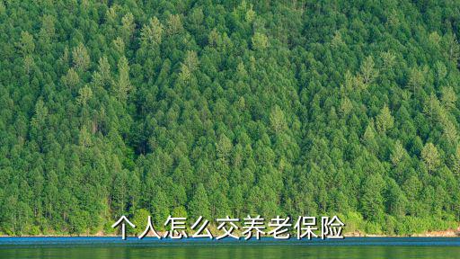 個人怎么交養老保險