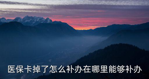 醫(yī)保卡在哪里補(bǔ)辦，怎么補(bǔ)辦醫(yī)保卡