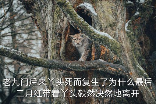 二爺和丫頭，老九門后來丫頭死而復生了為什么最后二月紅帶著丫頭毅然決然地離開