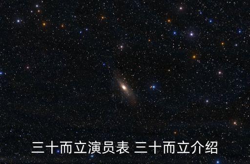三十而立演員表 三十而立介紹