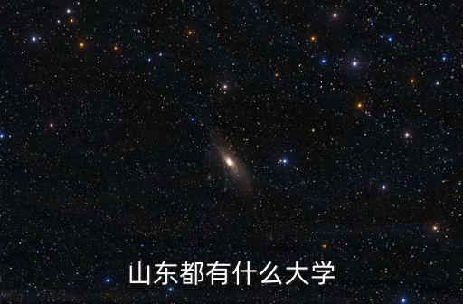 山東都有什么大學