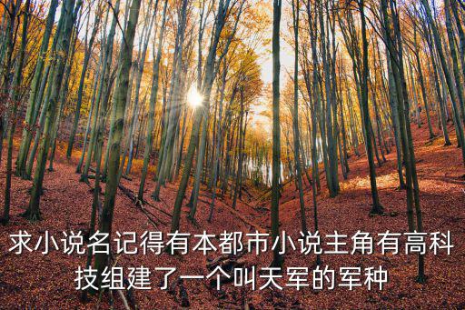 夜的邂逅，夜的邂逅 有哪些小說