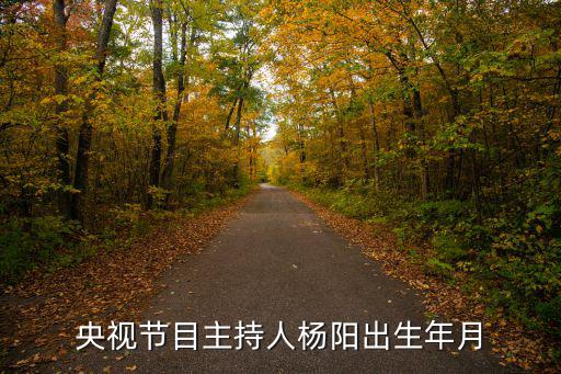 央視節目主持人楊陽出生年月