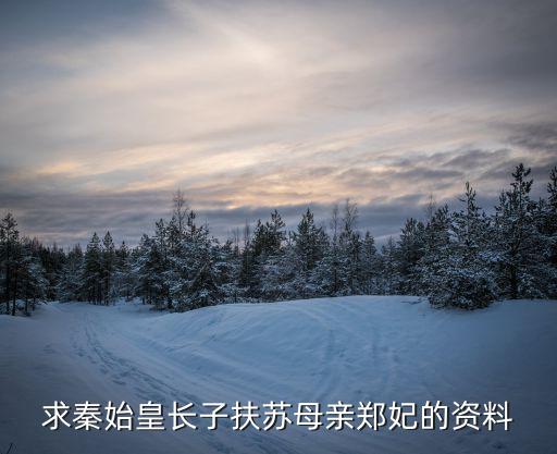 鄭妃，麗姬是秦始皇的什么人