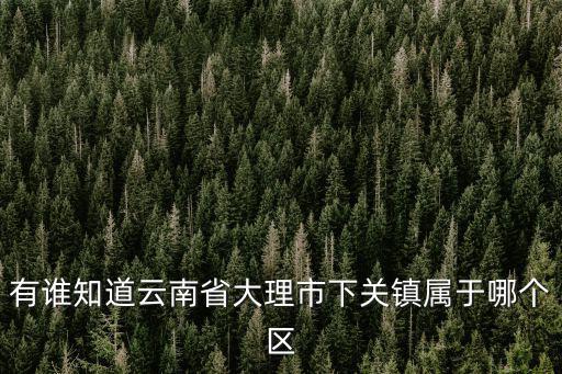 有誰(shuí)知道云南省大理市下關(guān)鎮(zhèn)屬于哪個(gè)區(qū)