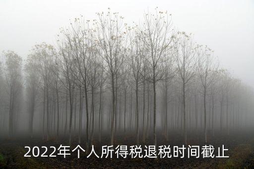 退稅時間，個人所得稅申報退稅時間