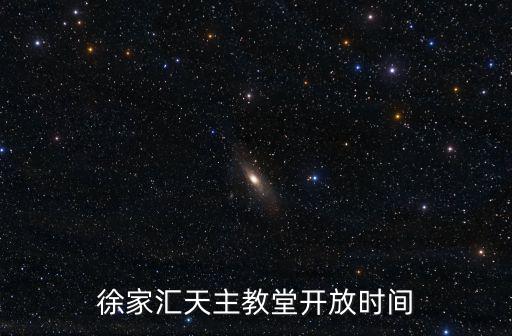徐家匯教堂，徐家匯大教堂