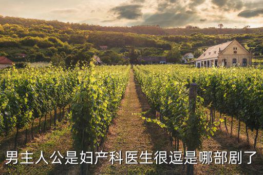 電視劇婦產科醫生，男主人公是婦產科醫生很逗是哪部劇了