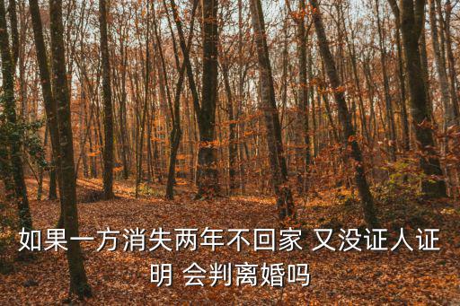 如果一方消失兩年不回家 又沒證人證明 會判離婚嗎
