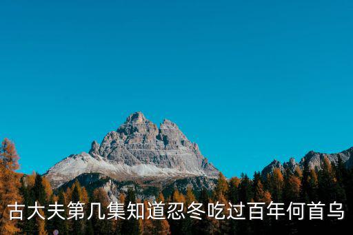 古大夫第幾集知道忍冬吃過百年何首烏