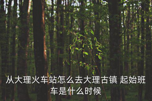 大理古鎮(zhèn)，介紹大理古城