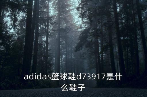 adidas籃球鞋d73917是什么鞋子