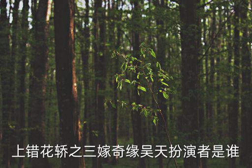 上錯花轎之三嫁奇緣吳天扮演者是誰