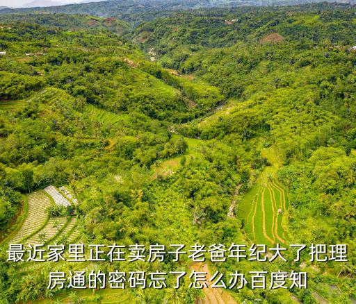 最近家里正在賣房子老爸年紀(jì)大了把理房通的密碼忘了怎么辦百度知
