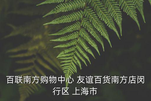 百聯南方購物中心 友誼百貨南方店閔行區 上海市