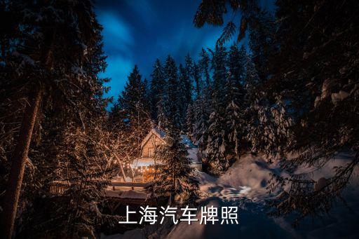 上海汽車牌照