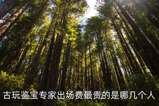 古玩鑒寶專家出場費最貴的是哪幾個人