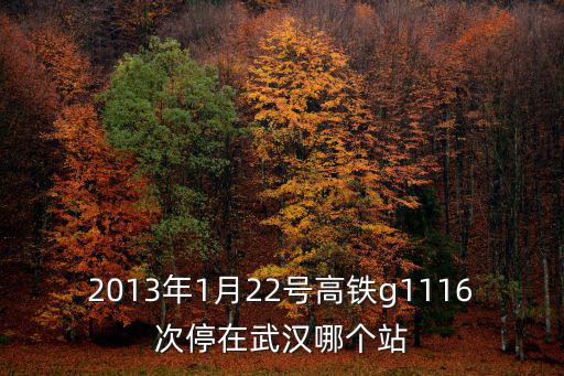 2013年1月22號高鐵g1116次停在武漢哪個站