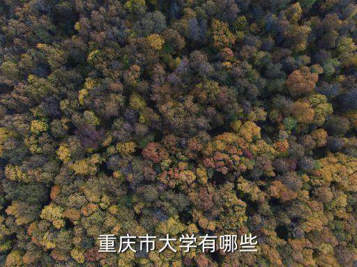 重慶市大學有哪些