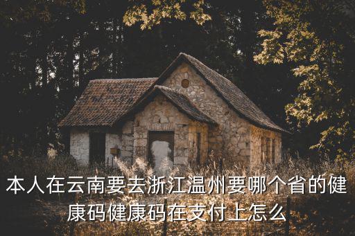 本人在云南要去浙江溫州要哪個省的健康碼健康碼在支付上怎么